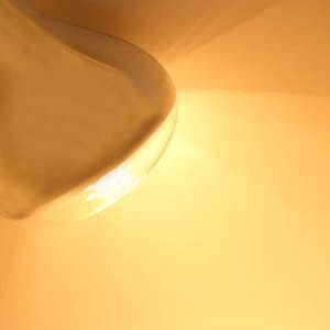 일광 축사등 뷔페전등 IR125 250W 보온등 열전구 열등 적외선램프