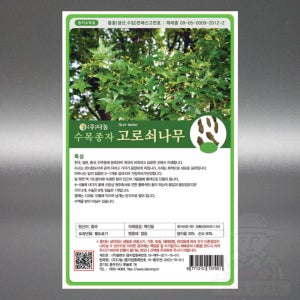 고로쇠 단풍나무 씨앗 15g 단풍 나무 조경 과수 수목 종자 씨