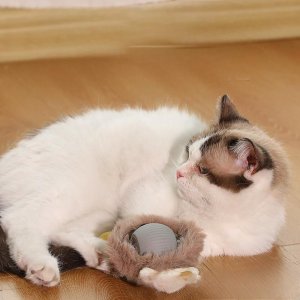 고양이 지랄발광 자동 장난감 스마트 캣 토이 공 놀이 USB 충전식