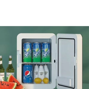 화장품냉장고 휴대용 자동차 음료수 쿨러 약품 보관 워머