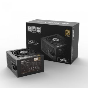 NEWZEN SKULL 750SM 모듈러 ATX3.1 80PLUS골드