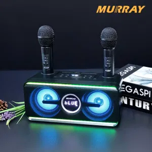 가정용 노래방 기계 이동식 미니 차량용 휴대용 머레이 블루라인