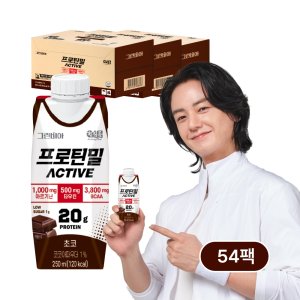 정식품 그린비아 프로틴밀 액티브 초코 250ml 54팩 단백질 음료 영양 간편 아침식사 대용식