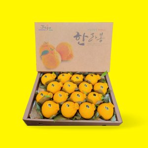 황금봉 제주 한라봉 명절 선물 세트 5Kg