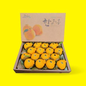황금봉 제주 한라봉 명절 선물 세트 5Kg