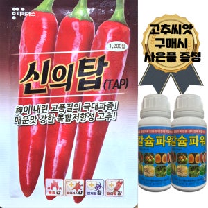 복합내병계 고추씨앗 신의탑1200립 매운맛 고추종자 극대과종