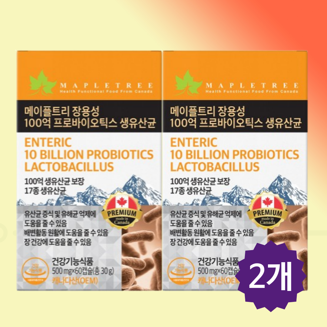 락토바실러스 플란타룸