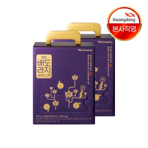 광동 배도라지 쌍화스틱 배도라지즙 100포, 2개