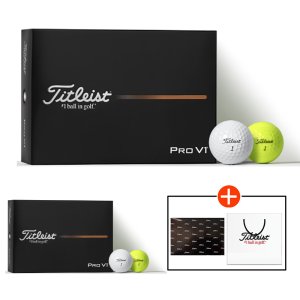 2025 타이틀리스트 pro v1 골프공 12구 아쿠쉬네트