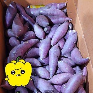 프레치 국산 영암 못난이 토울고구마 꿀고구마 베니하루카 세척 한입 소소 10kg, 1개