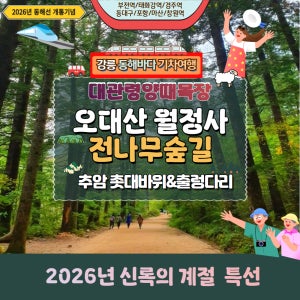 [특선] 대관령 양떼목장 &오대산 월정사 전나무숲길