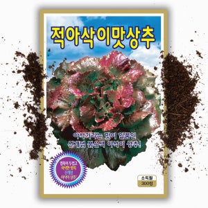 적 아삭이 상추씨앗 300립 쌈채소 아삭 상추 씨 종자