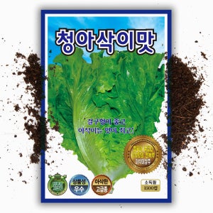 청 아삭이 상추씨앗 1500립 쌈채소 아삭 상추 씨 종자