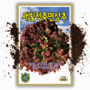 새빛 꽃 상추 씨앗 3000립 쌈채소 종자