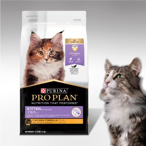 퓨리나 프로플랜 캣 키튼 1.5kg 고양이 사료
