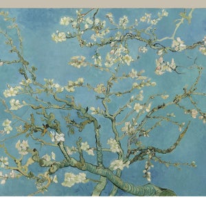 캔버스 아크릴액자 명화 고흐 꽃피는 아몬드나무 지클리 파인아트 프린트