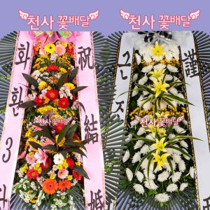 충주 충주컨벤션센터 웨딩홀 결혼식화환 교현동 축하화환