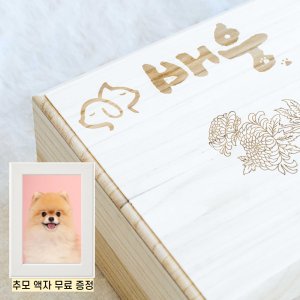 반려동물 최고급관 오동나무관 장례용품 애완동물 강아지 안락사