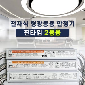 전자식 형광등용 안정기 핀타입 FPL 2등용 24W 36W 55W 넥스타 핀안정기