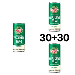 캐나다 진저에일 토닉 250ml 60캔