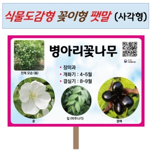 식물도감형 꽂이형 팻말 사각형 식물이름표 나무이름표 수목표찰 패찰
