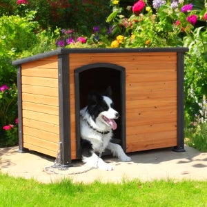 대형견집 대형 개집 야외 실외 원목 진돗개집 강아지 하우스 M [디자인1]