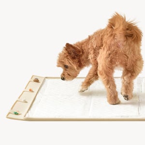 (표준형) 놀로 실리콘 퍼즐매트 펫테리어 샘방지 친환경 국내생산 설채현 배변매트 중