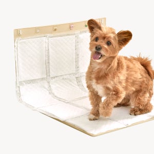 (대형) 놀로 실리콘 퍼즐매트 펫테리어 샘방지 친환경 국내생산 설채현 배변매트 대