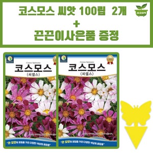 다농 코스모스 씨앗 100립 혼색 씨셀스 코스모스 꽃씨 종자 2개+끈끈이 1P