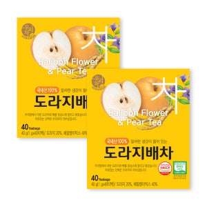 송원 우리차 도라지배차 40Tx2개
