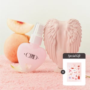 NEW 탱글엔젤 큐피드 손상모 헤어 브러쉬 (2 Colors), 2way 슬라이딩 핸들 [+헤어미스트&스티커]