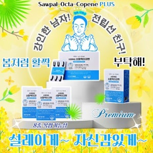 전문의 쏘팔메토 닥터유로포뮬라 쏘팔옥타코펜 라이코펜 로르산 옥타코사놀 아연, 전립선건강 지구력 활력, 미국산쏘팔메토 프리미엄 5개월,6개월