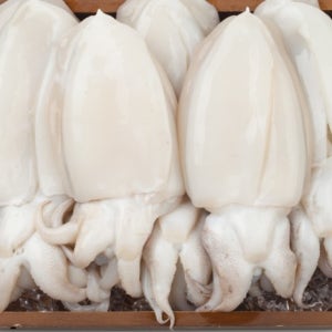 국내산 신선급냉 손질 갑오징어 800g 3-5마리내외 오징어 통찜