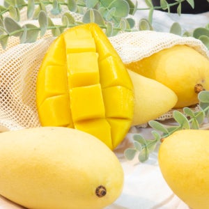 [4-8개 내외] 월드마켓 고당도 남독마이 태국 골드 망고 대과 2.5kg, 1개