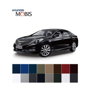 그랜져 HG 범퍼 모비스 도장 완성품