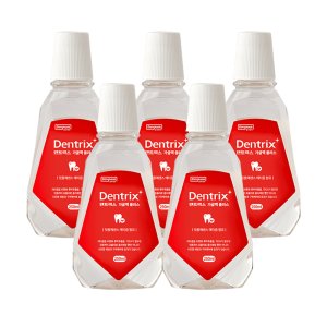 동국제약 덴트릭스 가글액 플러스 250ml X 5개