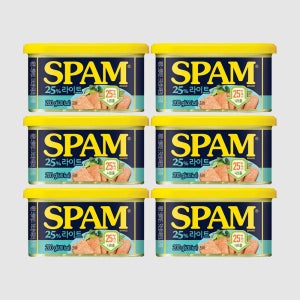 CJ제일제당 스팸 라이트 200g 6개