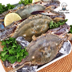 숫꽃게 제철 햇 꽃게 냉동 급냉 특대 2kg 수산물이력제 친절한어부씨
