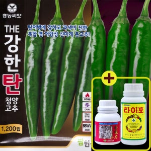 더강한탄 청양 고추 1200립 고추씨앗 종자 바이러스 탄저병 다수확 아주매움 흥농씨앗
