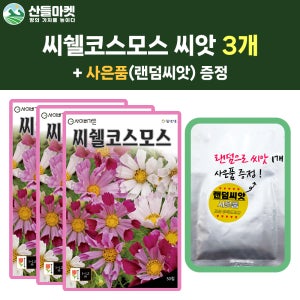 산들마켓 씨쉘코스모스 씨앗 50립 코스모스 일년생 꽃씨 종자3개+랜덤 씨앗1개 증정