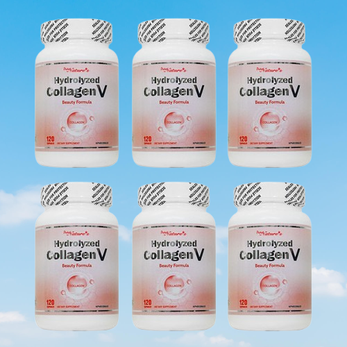 히알루론산 6병 PNC 300달톤 저분자 <b>콜라겐 펩타이드</b> 120 <b>하이드롤라이즈드 콜라겐</b>v