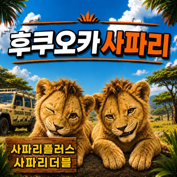 [후쿠오카사파리 버스투어] 유후인 벳푸 가마도지옥 아프리칸사파리투어 일본여행