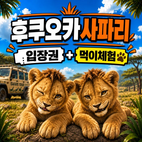 인타임투어 [후쿠오카사파리 버스투어] 유후인 벳푸 가마도지옥 아프리칸사파리투어 일본여행