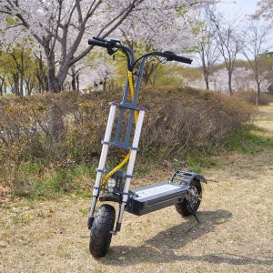 전기 전동킥보드 타이탄 티오피 싱글 1000W 출퇴근 캠핑용 마실용 킥보드