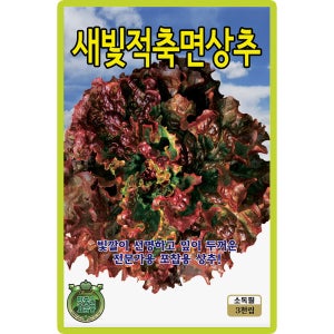 KS종묘 새빛적축면 상추 씨앗 3000립 빛깔이 선명하고 잎이 두꺼운 전문가용 포찹용 고급 품종 종자