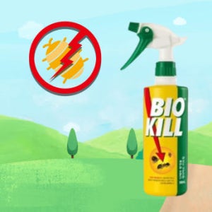 동성제약 비오킬 500ml biokill 빈대퇴치제 약 다이소 약국 효과 여행용 집용