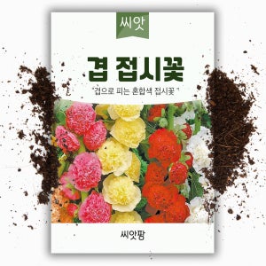 겹접시꽃 씨앗 30립 다년생 접시꽃 꽃씨 야생화 꽃씨앗