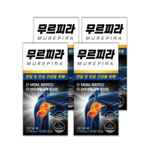 [8개월분] 무르피라 MSM+NAG 무릎 어깨 손가락 관절 연골 건강(약 2달분) 120정, 4개