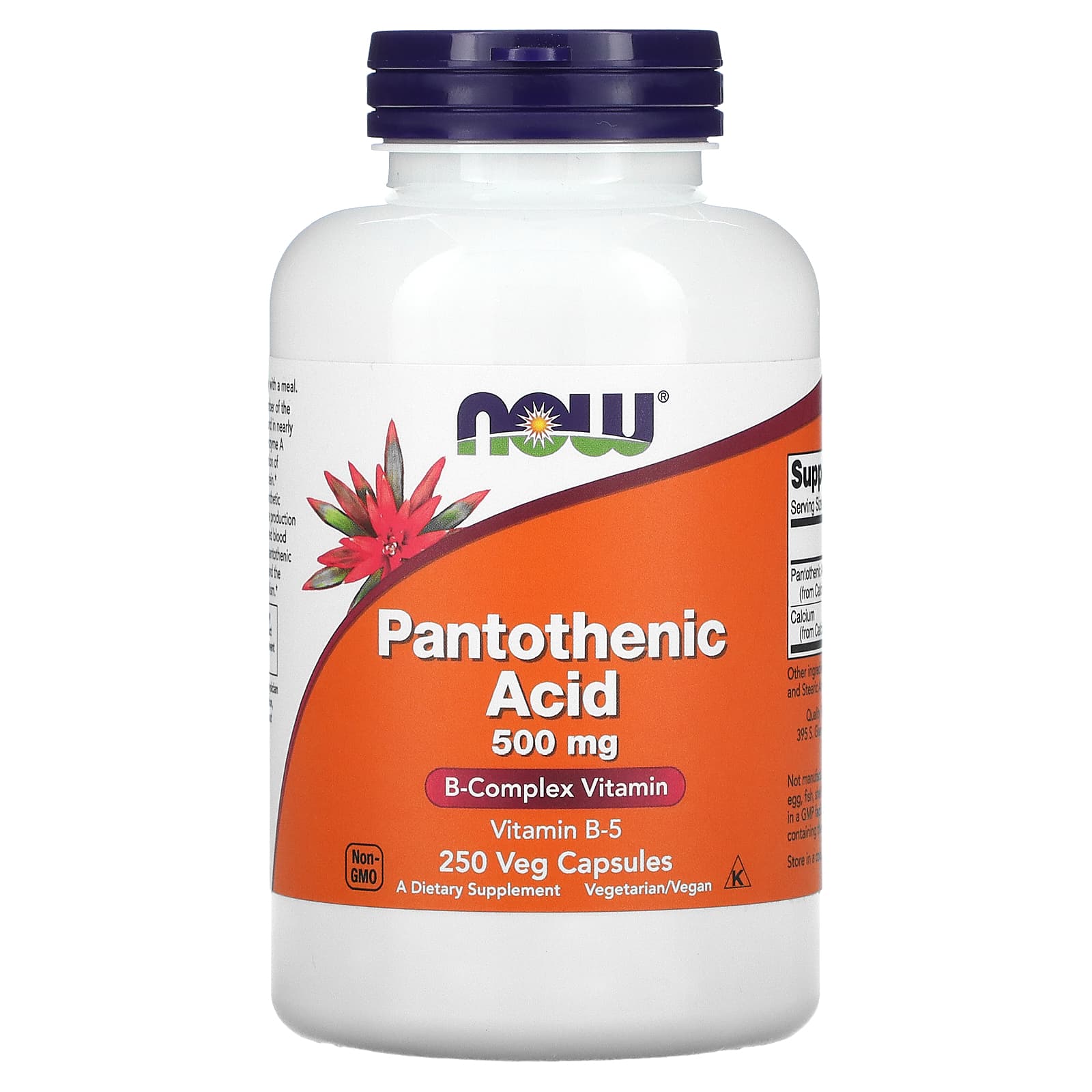 NOW Foods <b>판토텐산</b> 500mg 베지 캡슐 250정
