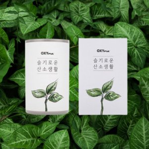 고체 산소 가정용 휴대용 공기정화제 독서제 고체 산소 발생기 90g